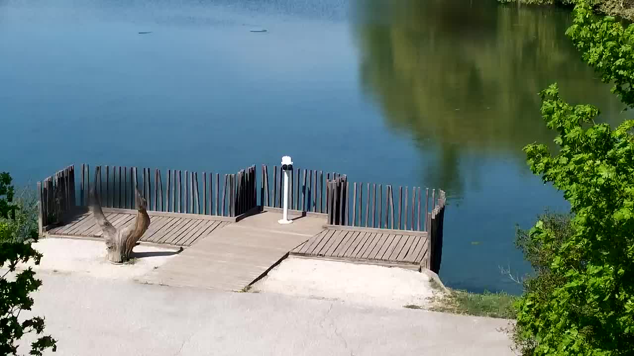 Web kamera Ribnik Vrbje – Žalec