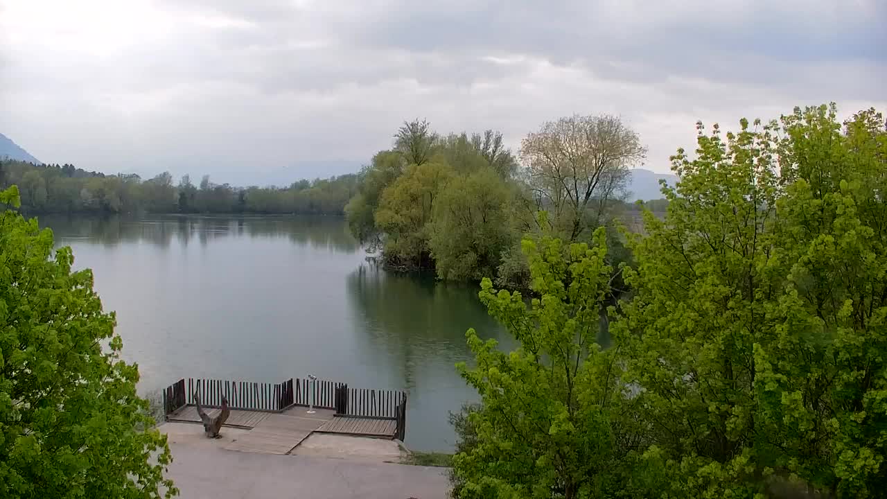 Webcam Ribnik Vrbje – Žalec