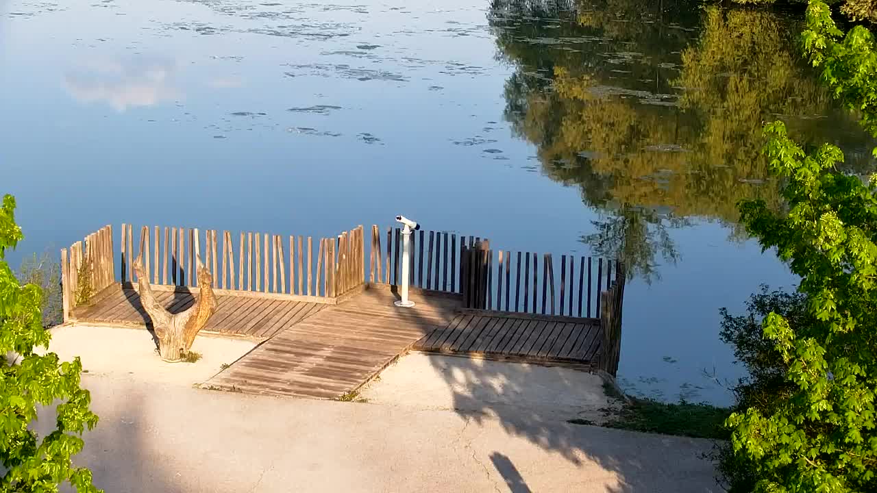 Webcam Ribnik Vrbje – Žalec