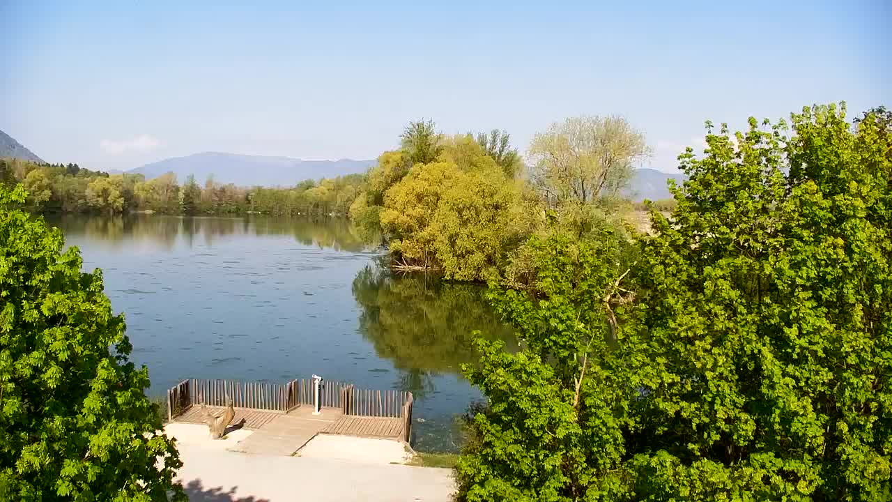 Webcam Ribnik Vrbje – Žalec