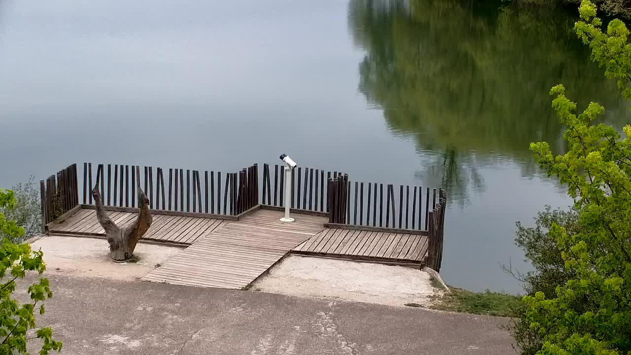 Webcam Ribnik Vrbje – Žalec