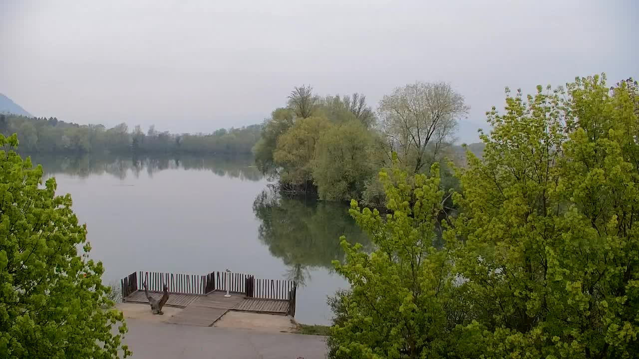 Spletna kamera Ribnik Vrbje – Žalec