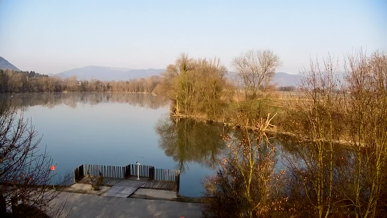 Webcam Ribnik Vrbje – Žalec