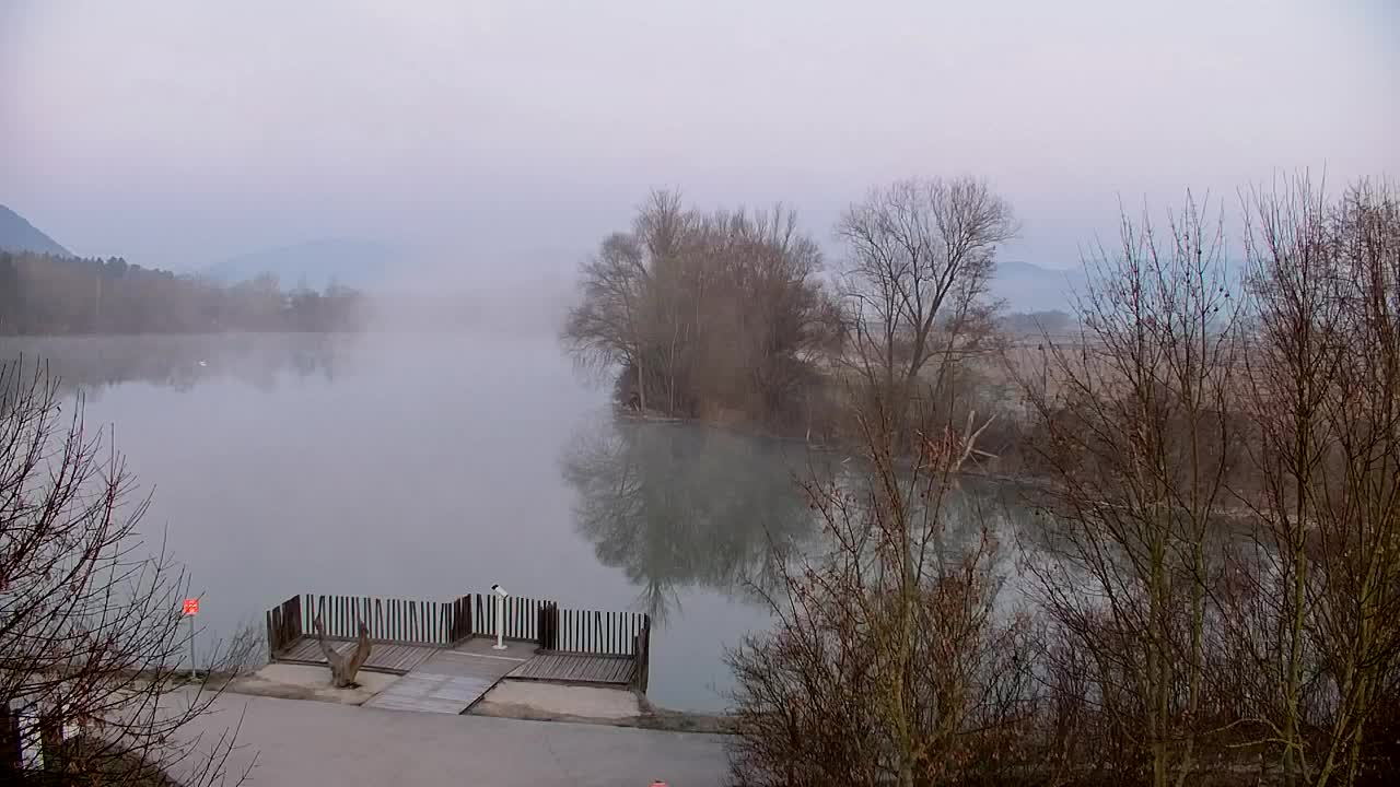 Webcam Ribnik Vrbje – Žalec