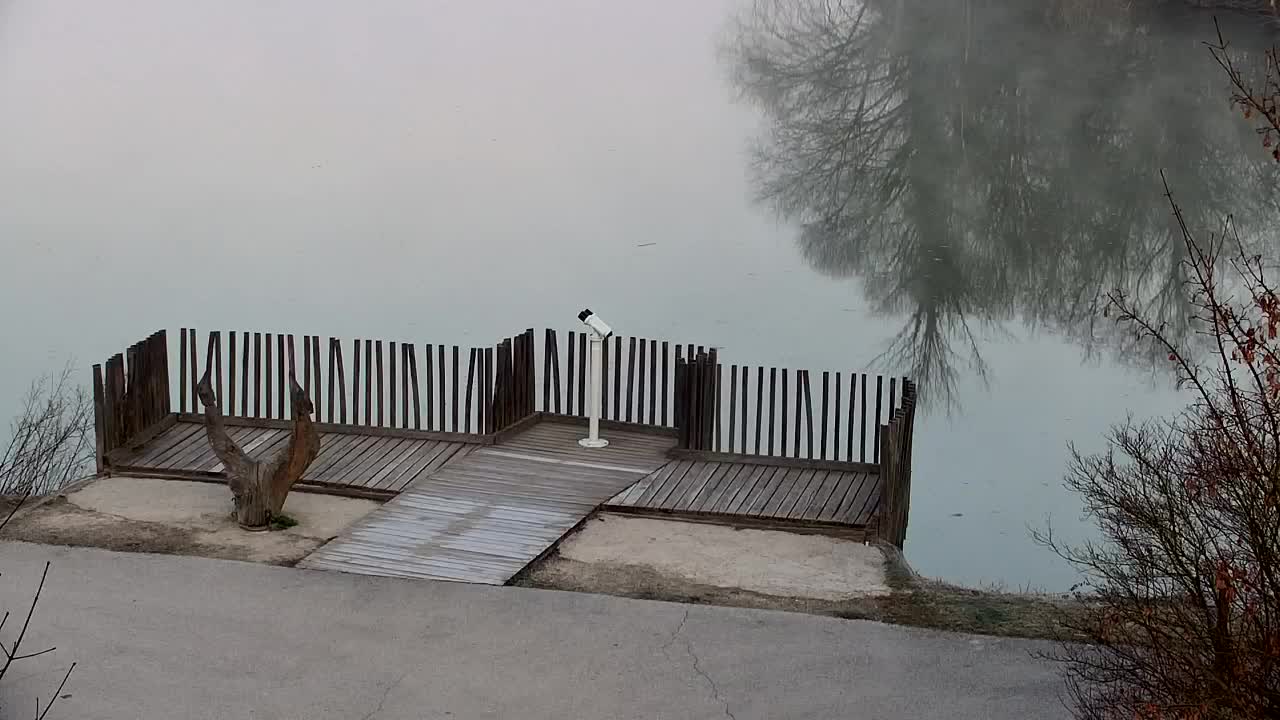 Webcam Ribnik Vrbje – Žalec