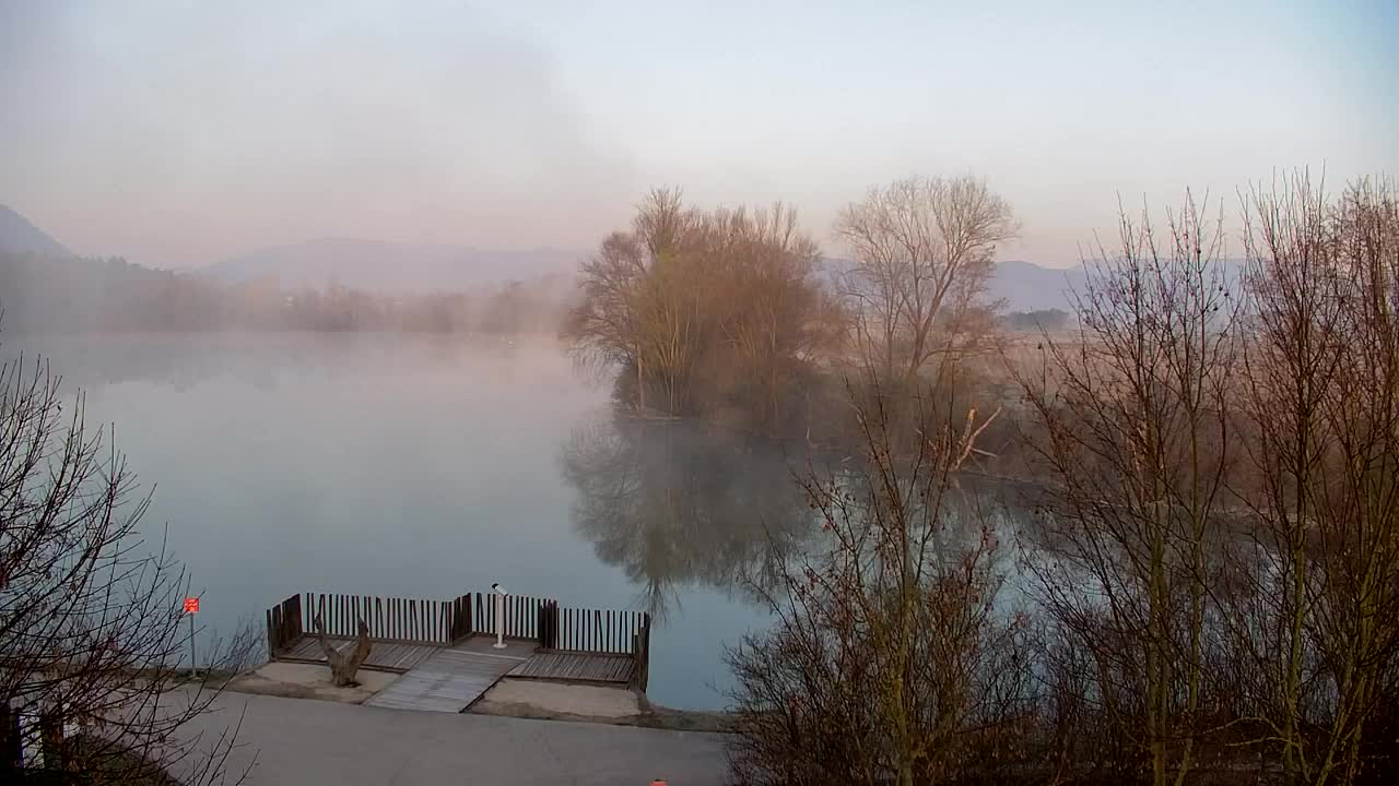 Webcam Ribnik Vrbje – Žalec