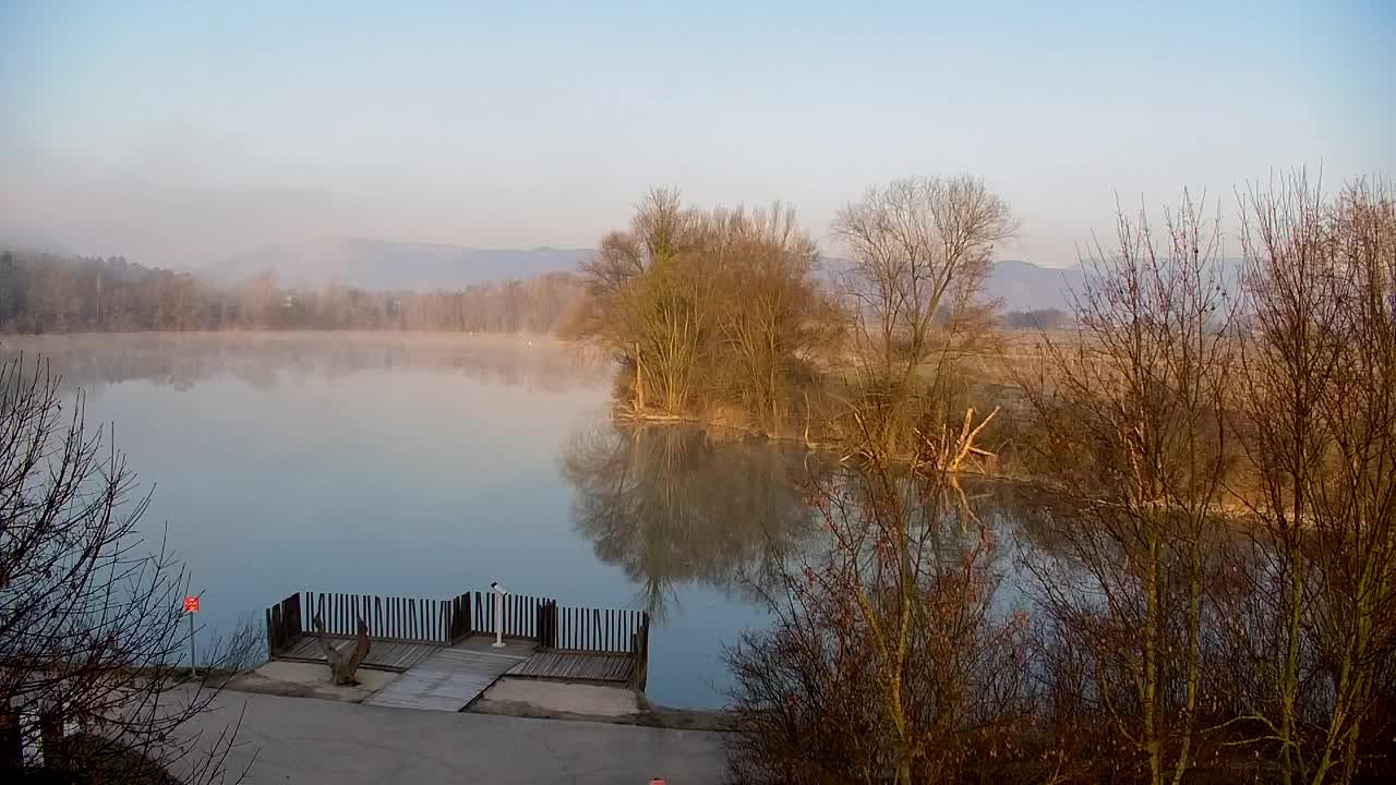 Webcam Ribnik Vrbje – Žalec