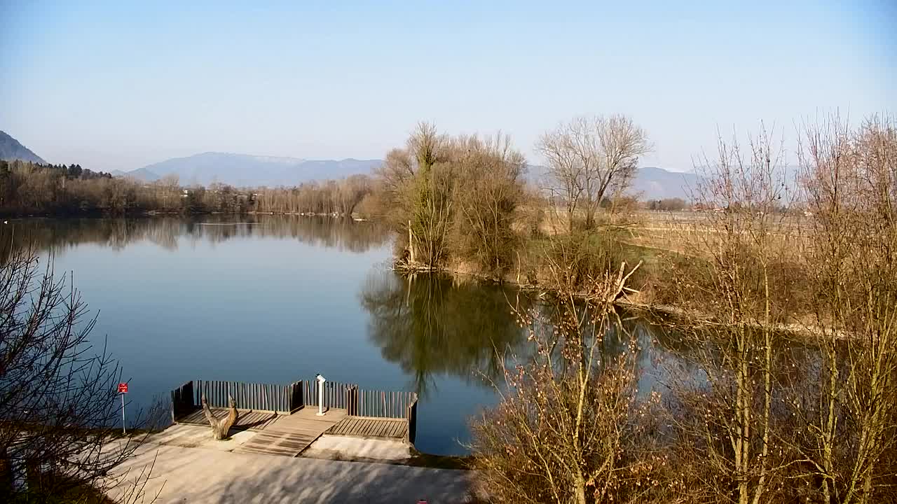 Webcam Ribnik Vrbje – Žalec