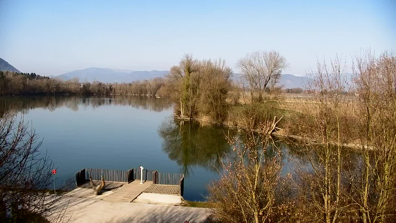 Webcam Ribnik Vrbje – Žalec