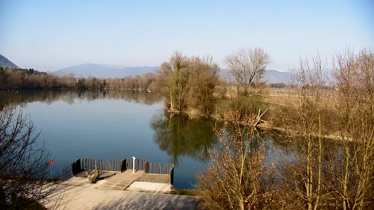 Webcam Ribnik Vrbje – Žalec