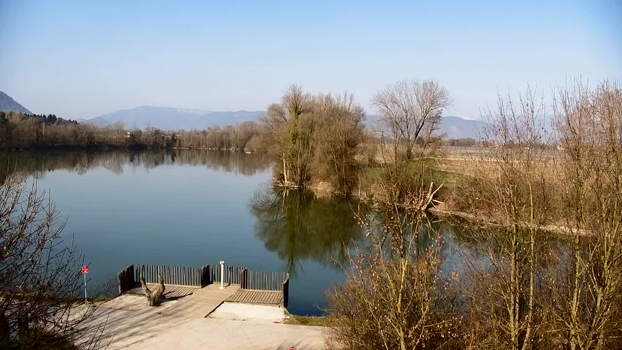 Webcam Ribnik Vrbje – Žalec