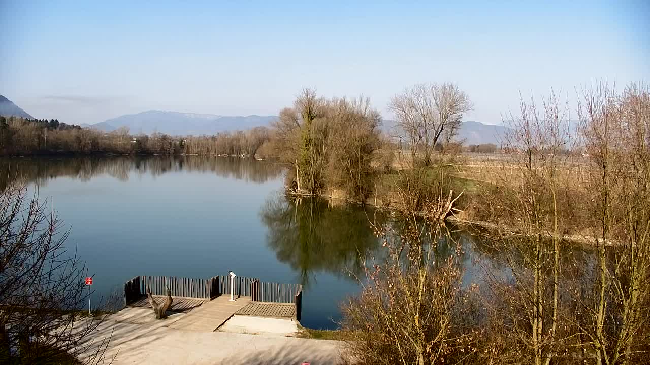 Webcam Ribnik Vrbje – Žalec