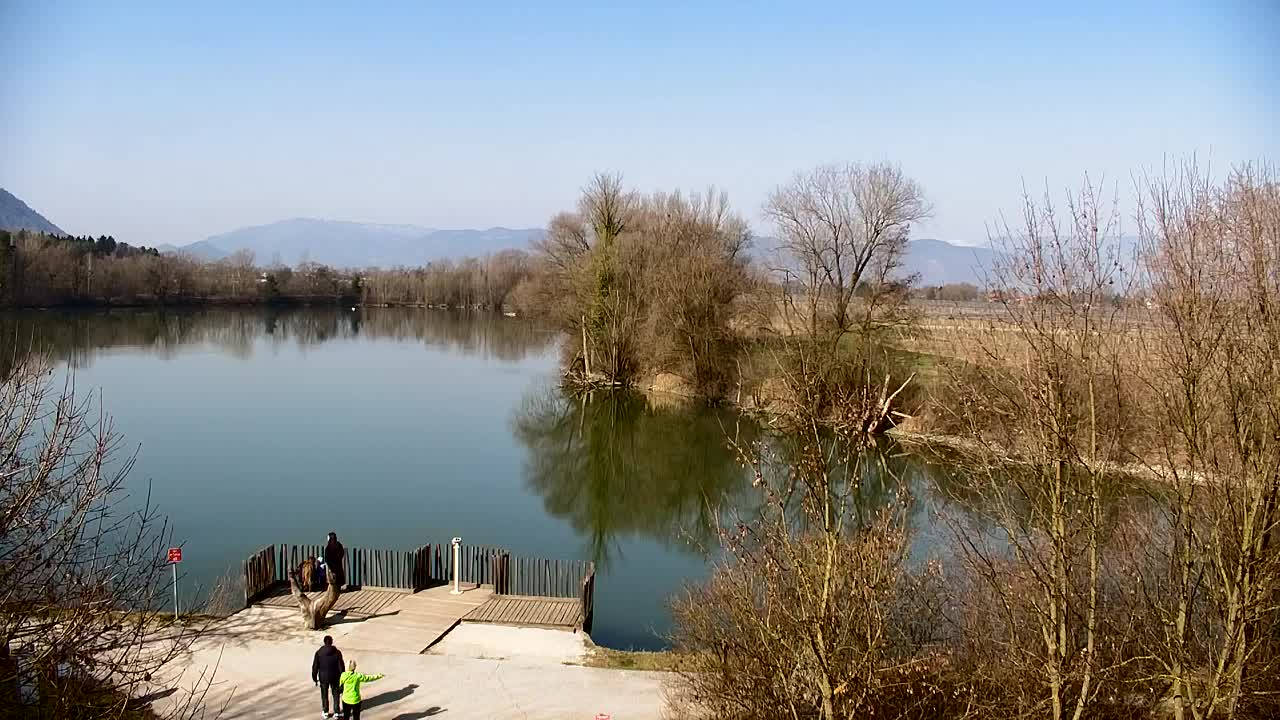 Webcam Ribnik Vrbje – Žalec