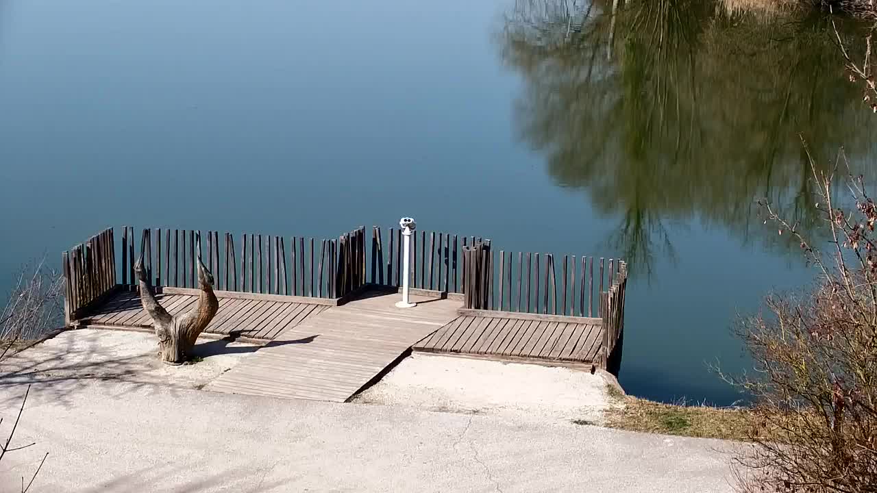 Webcam Ribnik Vrbje – Žalec