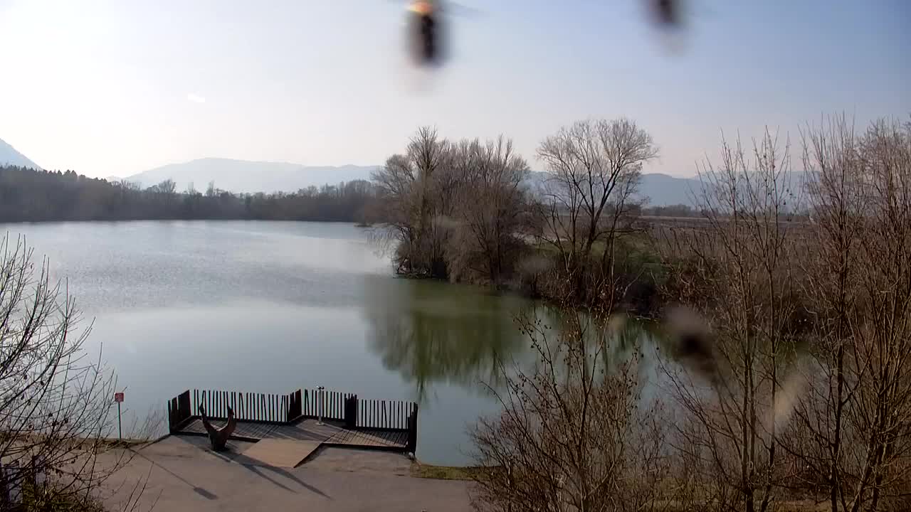 Webcam Ribnik Vrbje – Žalec