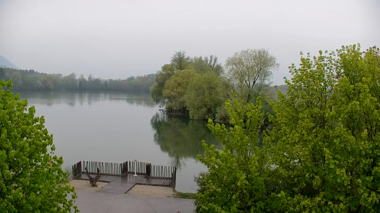 Spletna kamera Ribnik Vrbje – Žalec