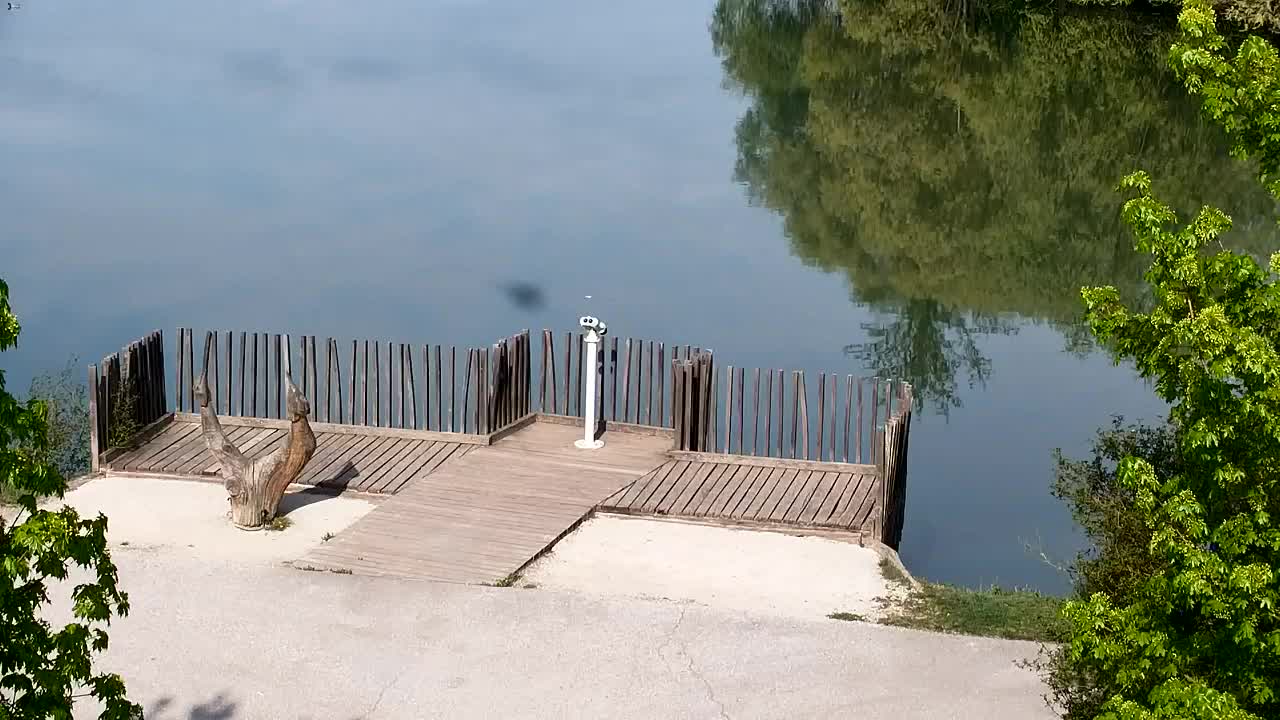 Spletna kamera Ribnik Vrbje – Žalec