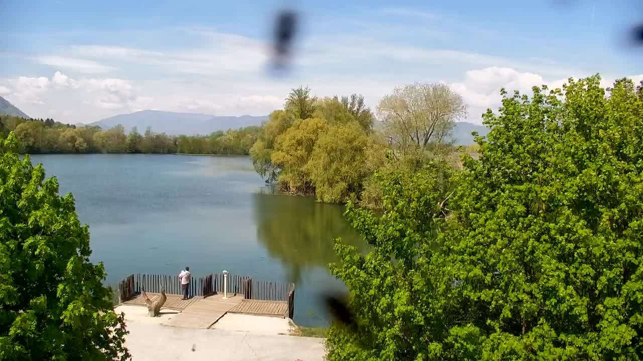 Webcam Ribnik Vrbje – Žalec
