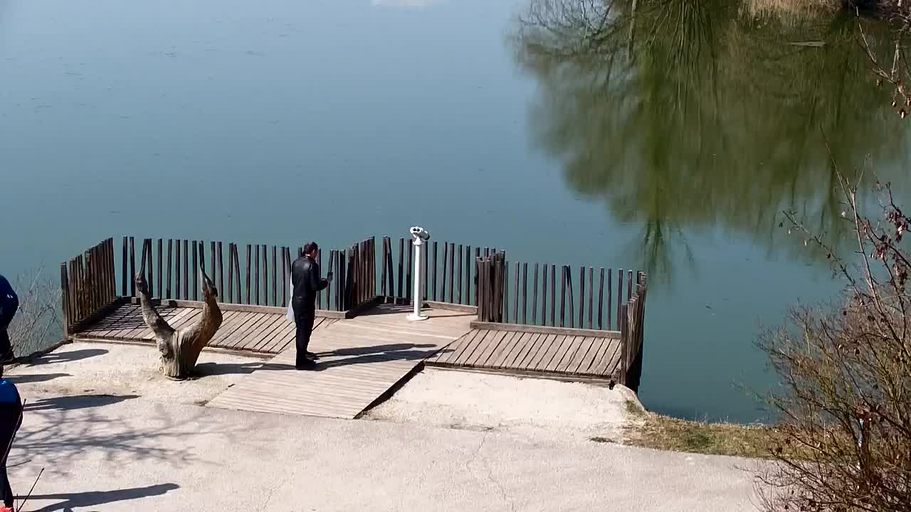 Webcam Ribnik Vrbje – Žalec