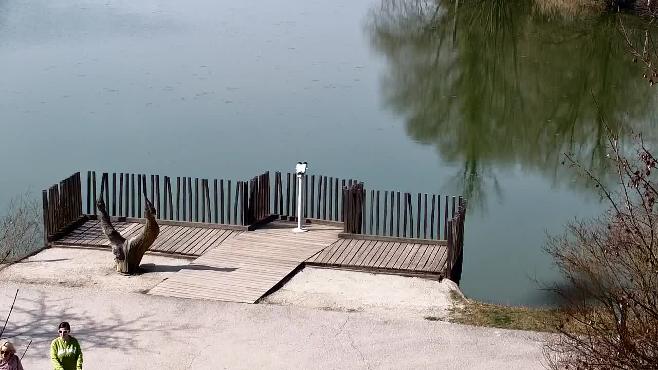 Webcam Ribnik Vrbje – Žalec