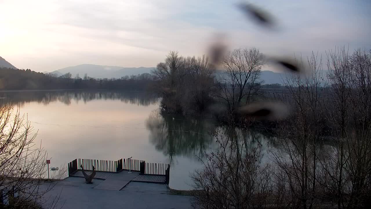 Spletna kamera Ribnik Vrbje – Žalec