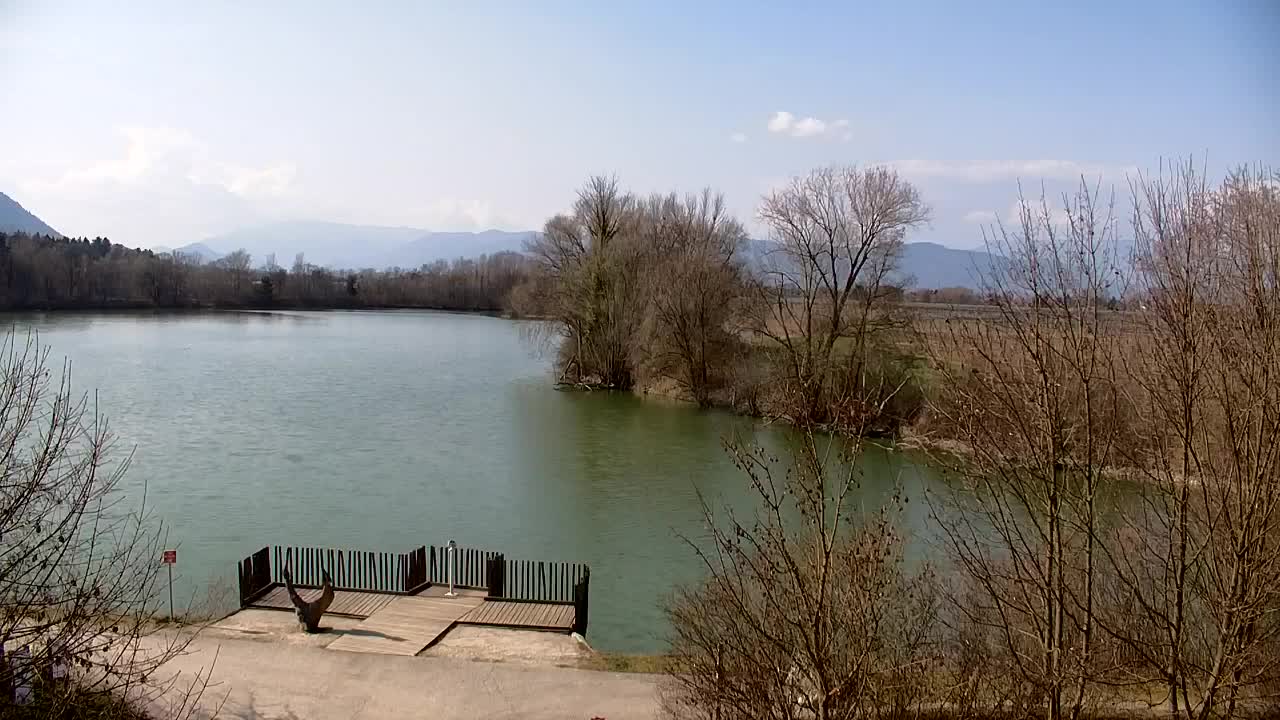 Webcam Ribnik Vrbje – Žalec