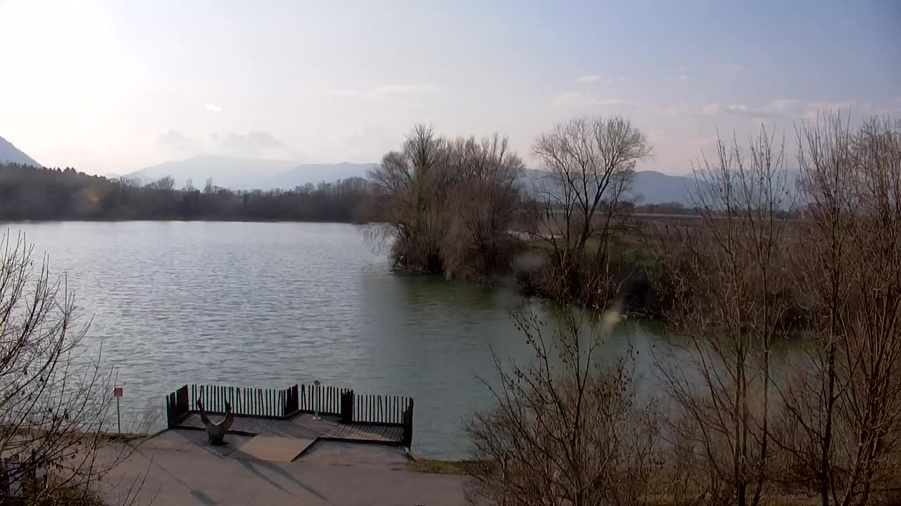 Webcam Ribnik Vrbje – Žalec