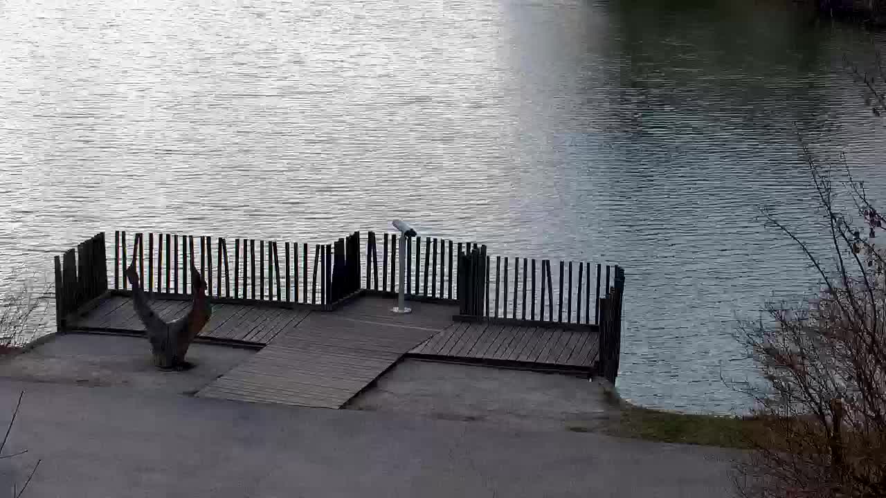 Spletna kamera Ribnik Vrbje – Žalec