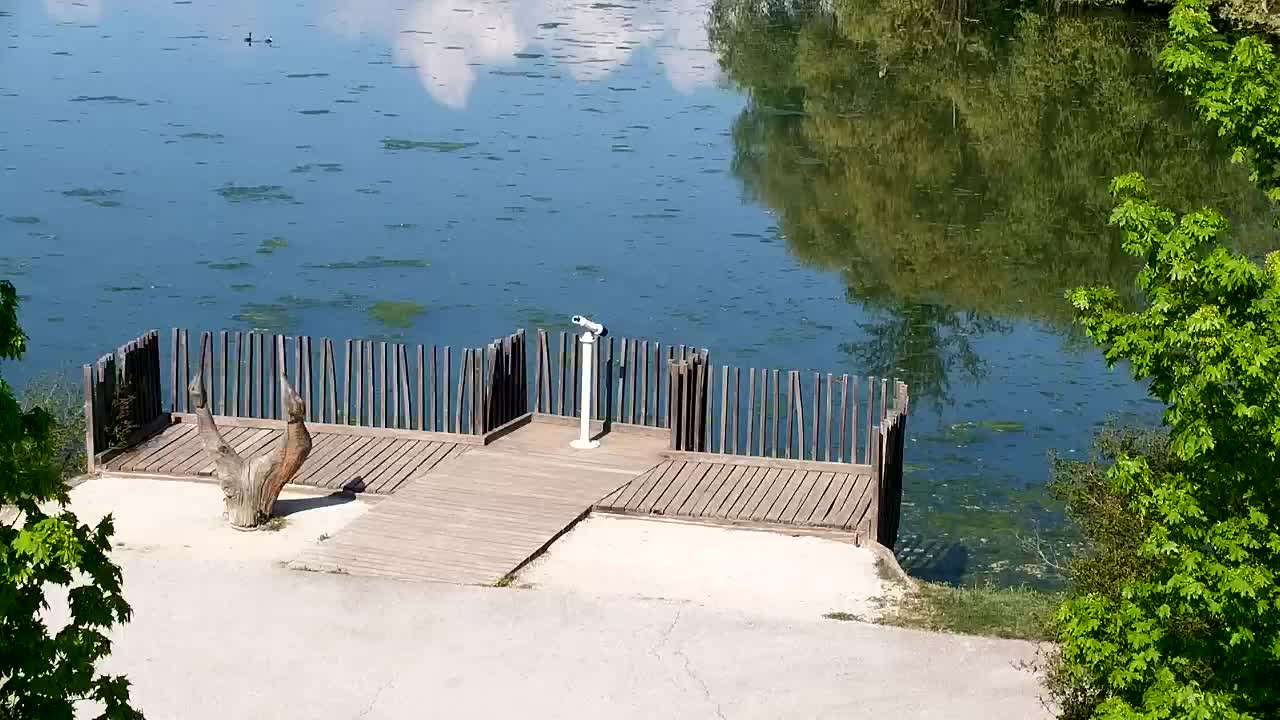 Spletna kamera Ribnik Vrbje – Žalec