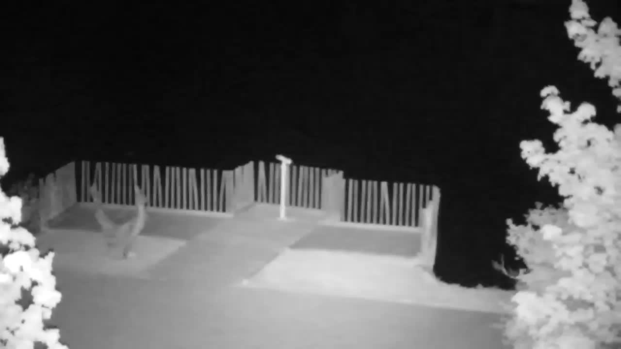 Spletna kamera Ribnik Vrbje – Žalec