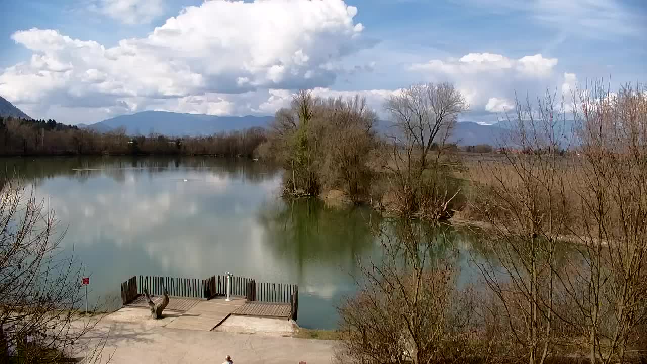 Webcam Ribnik Vrbje – Žalec