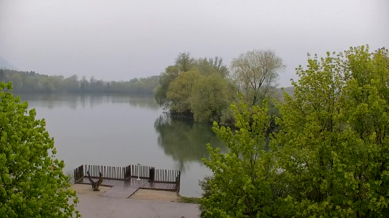 Webcam Ribnik Vrbje – Žalec