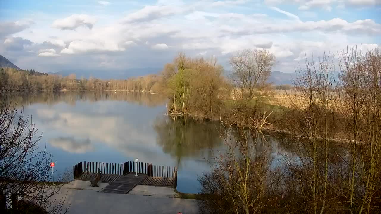 Webcam Ribnik Vrbje – Žalec