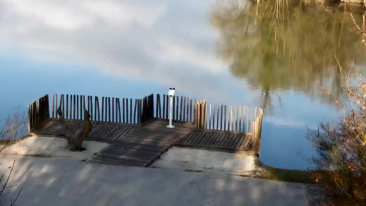 Webcam Ribnik Vrbje – Žalec