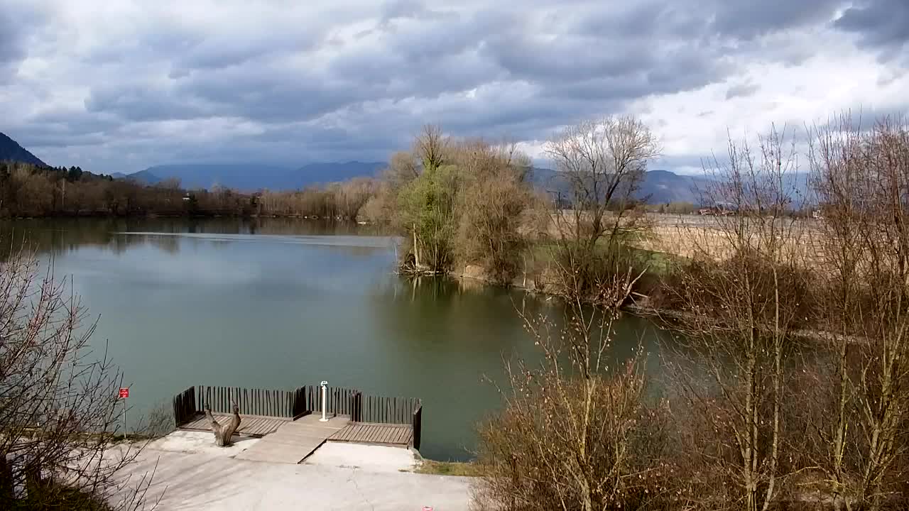 Webcam Ribnik Vrbje – Žalec