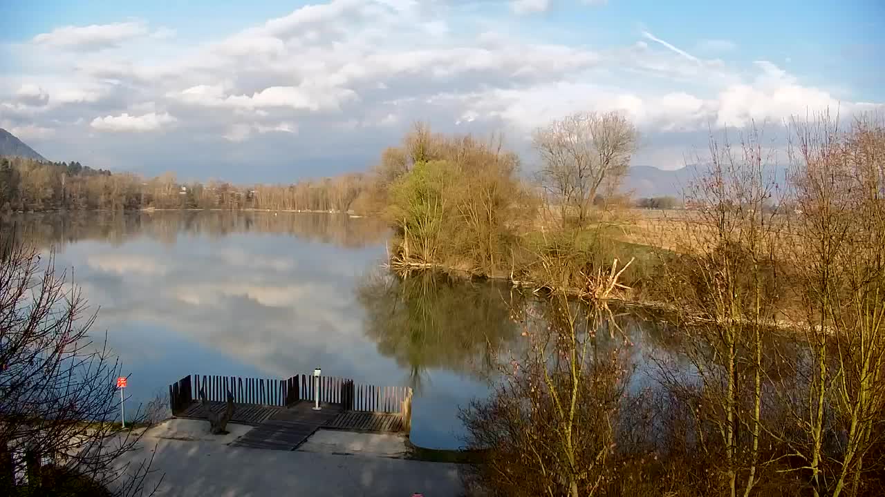 Webcam Ribnik Vrbje – Žalec