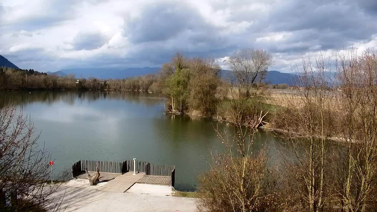 Webcam Ribnik Vrbje – Žalec