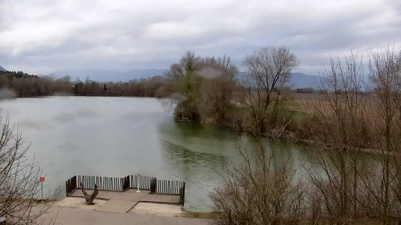 Webcam Ribnik Vrbje – Žalec