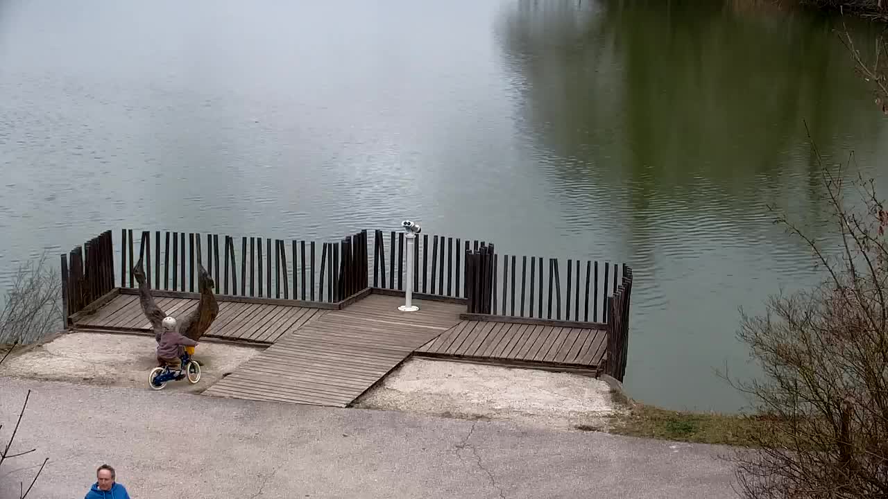 Webcam Ribnik Vrbje – Žalec