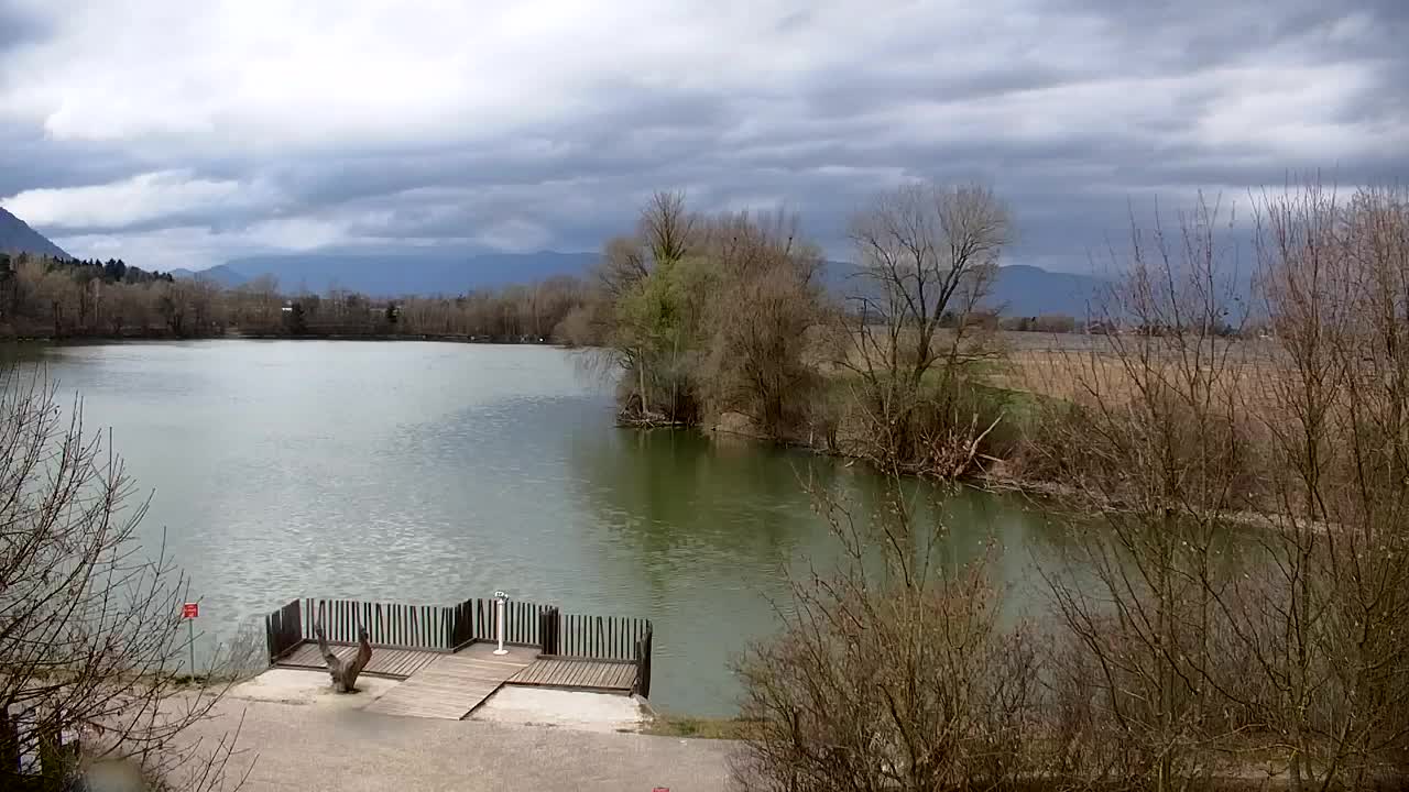 Webcam Ribnik Vrbje – Žalec