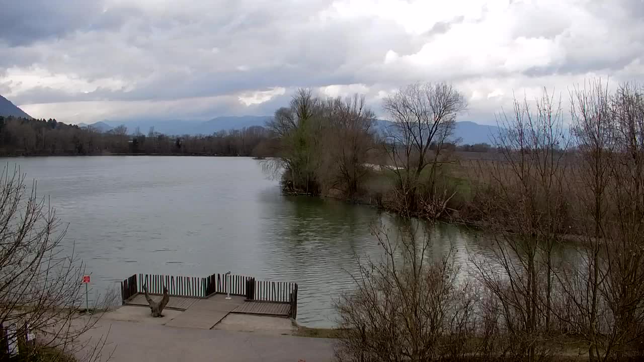 Webcam Ribnik Vrbje – Žalec