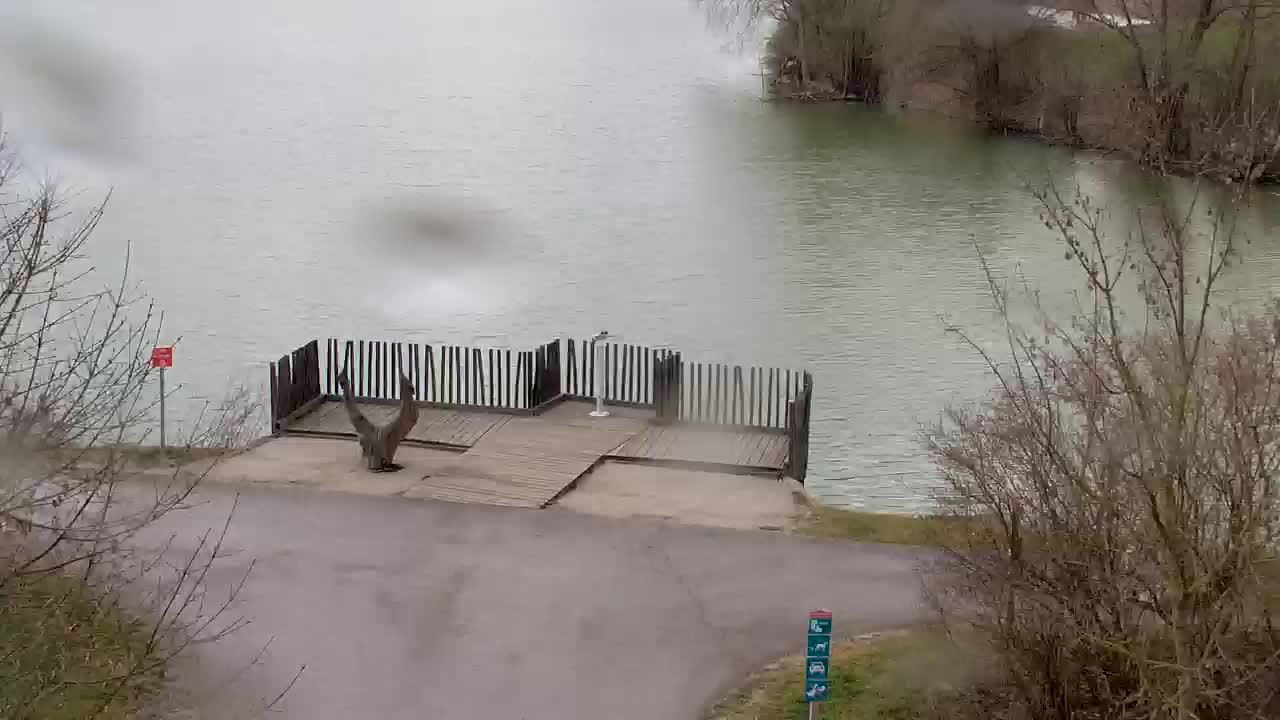 Spletna kamera Ribnik Vrbje – Žalec