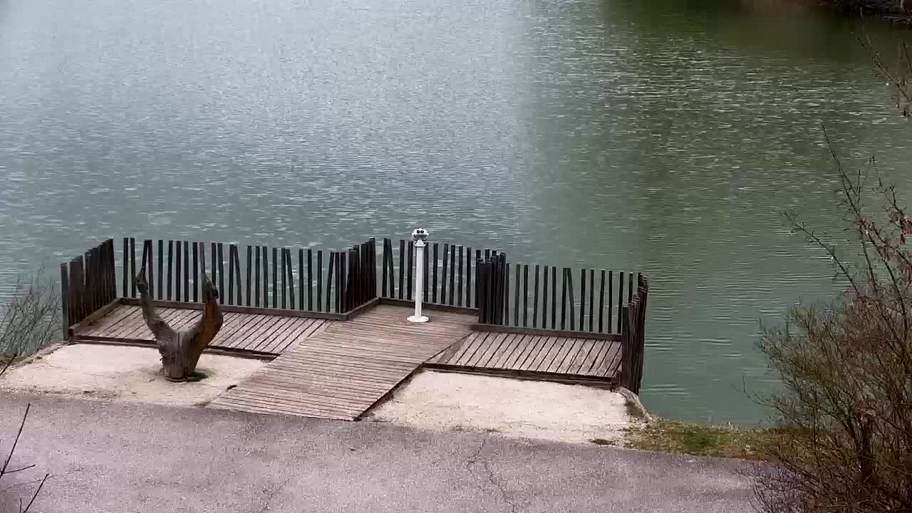 Spletna kamera Ribnik Vrbje – Žalec