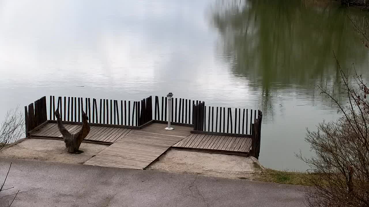 Webcam Ribnik Vrbje – Žalec