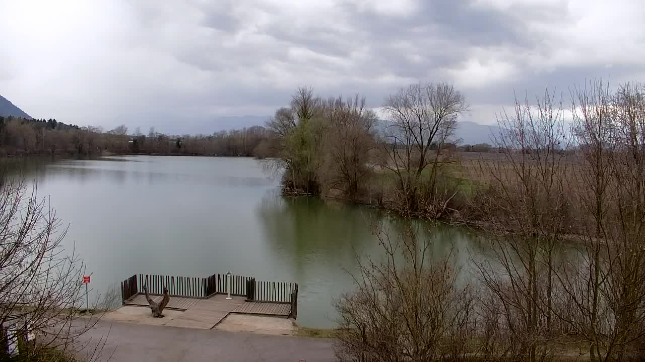 Webcam Ribnik Vrbje – Žalec