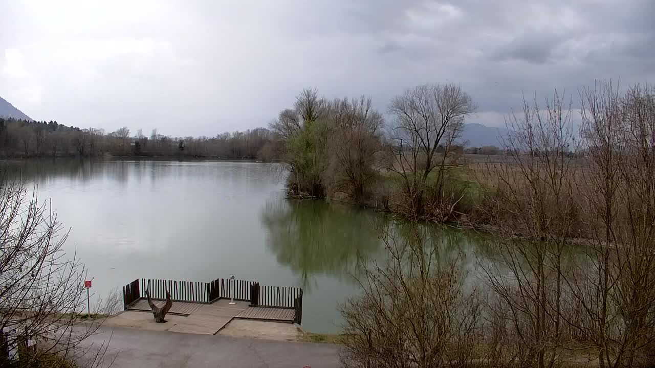 Webcam Ribnik Vrbje – Žalec