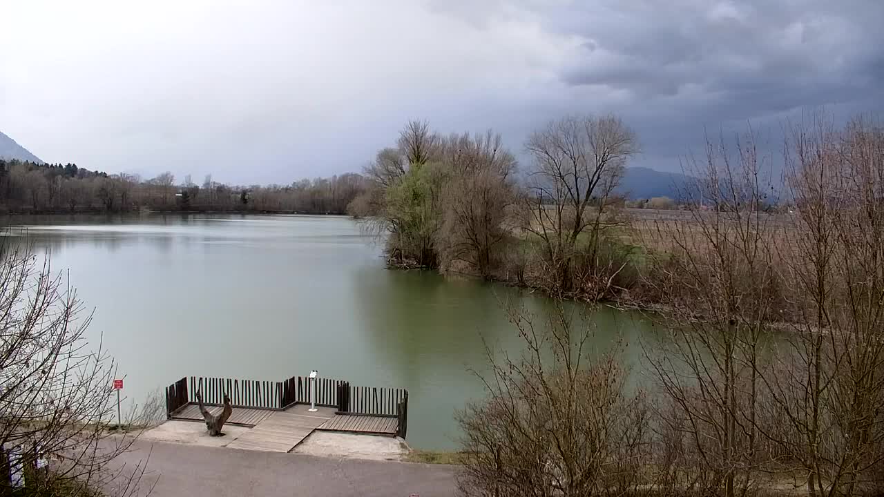 Webcam Ribnik Vrbje – Žalec