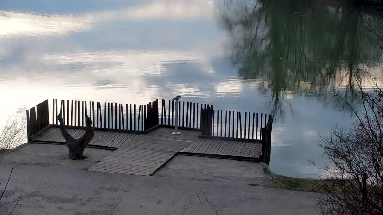 Webcam Ribnik Vrbje – Žalec