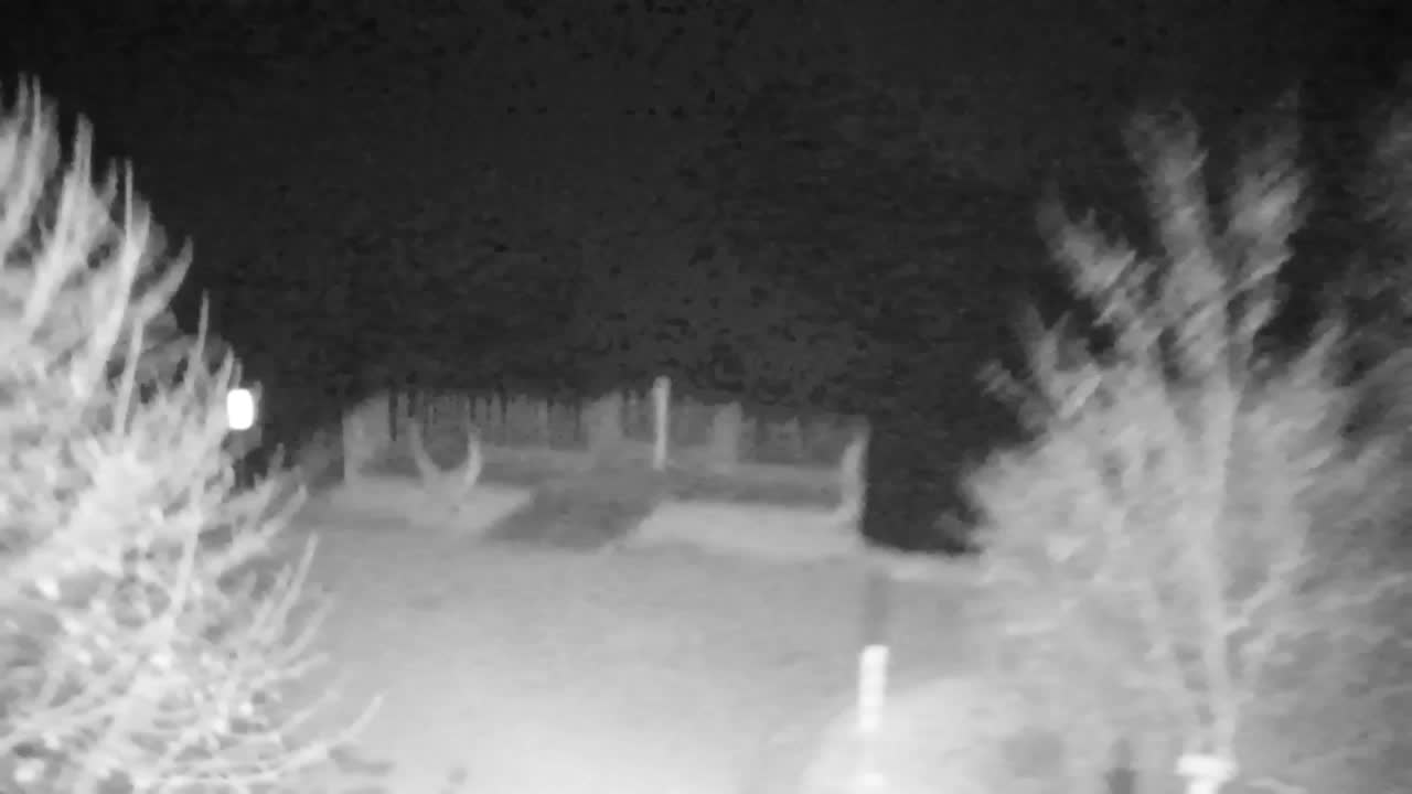 Webcam Ribnik Vrbje – Žalec