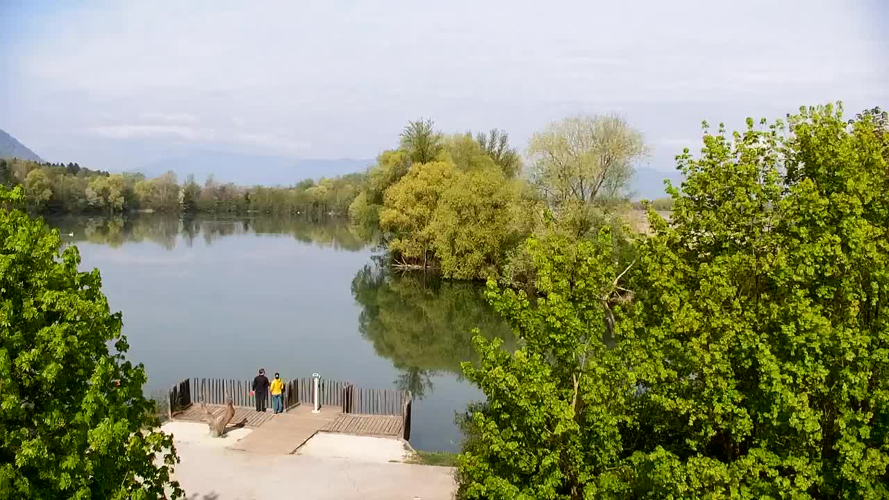 Spletna kamera Ribnik Vrbje – Žalec